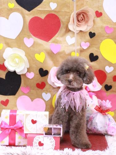 20230209きょうのちゃん